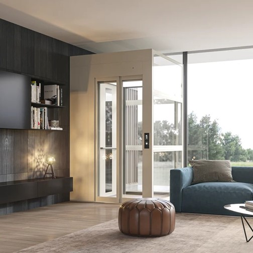 Why Pet-Friendly Home Lifts Are a Must for Your Home – Site Title